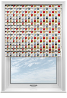 Practically Prefect, Team Captain - Roman Blind